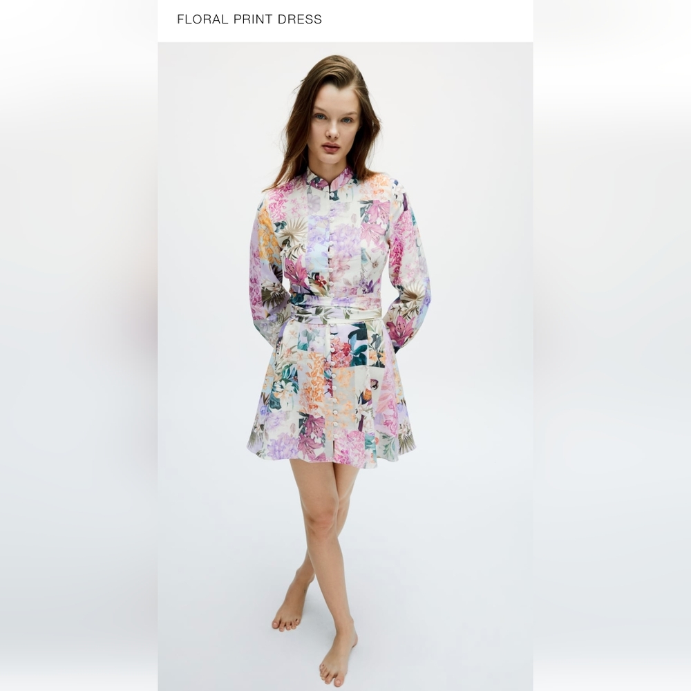 Zara Floral Print Dress